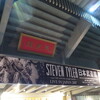 Steven Tyler LIVE IN JAPAN 2017 TOKYO