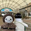 ペンギン姉弟の大発見！楽しいアドベンチャー #ペンギン (白浜旅行その5)(650)