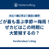  カビが最も喜ぶ季節＝梅雨！なぜカビはこの時期に大繁殖するの？