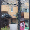 ビール備忘録 その48 〜2020年、桜ビール特集〜
