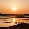五霞の田園夕景（茨城県五霞町）