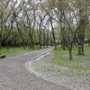 ４月１４日八重桜は見頃　佐倉城址公園の桜