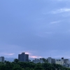 ２０２５年夏至☀️私達は一人ひとり自由💖ついにオープンコンタクト！？