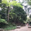 下落合の湧き水を見に行く spring water of Otomeyama Park