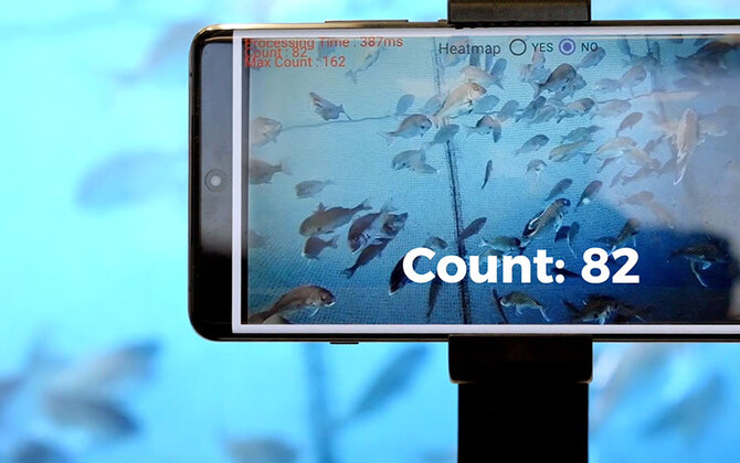Edge AI in Action: How a Fish Counting Solution from SoftBank Corp. and Aizip is Transforming Aquaculture