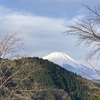 丹沢を歩く　シダンゴ山ータケ山ー宮地山　後編