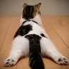 円高進む。。