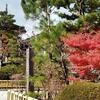 紅葉の高野山・町歩き。「刈萱堂」の中にある話を初めてしっかり読んだ