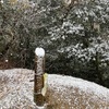 Enough snow for sledding