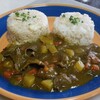 ありがちなカレーライス