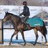 2023産出資馬　馬名決定①（シルクホースクラブ編）