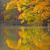 「紅葉の日光」は平日でも物凄い『渋滞』でした。