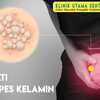 Obati Herpes Kelamin di Klinik Utama Sentosa