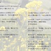 canvas 歌詞解説