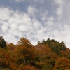 古い写真で恐縮です２００８年「白山白川郷ホワイトロード」紅葉