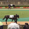 東京競馬11R 武蔵野ステークス パドック直前予想◎5 モーニン