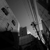 朝の光と18mm (35換算)