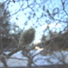 アルツハイマーは脳のサビが原因