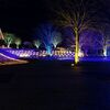 ２０１４年光のニューイヤー（あづま総合運動公園：福島市）