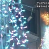 熊本信愛女学院でクリスマスイルミネーションの点灯式