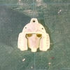 【ガンプラ】 1/100 RX-78 ガンダムを作る その78 2024年10月4日 【旧キット】
