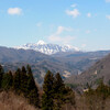 春来りて