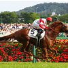 日曜競馬　展望