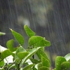 梅雨に合いそうな曲　その2