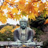 鎌倉百八景64　鎌倉の紅葉&実朝暗殺と曽我と蘇我？