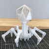 バクテリオファージの3Dモデルをプリントアウトしました