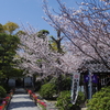 雲心寺さんの名古屋三大大仏