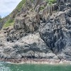 久々の新魚種