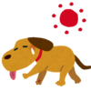 3-133   犬だって、熱中症に御用心