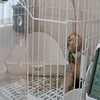 半分隠れてます