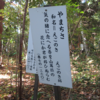 万葉集の世界に飛び込もう（その３２３０）―万葉一日一葉　国分寺万葉庭園（９８）―やまちさ