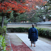  Kyoto 2010 | Autumn of