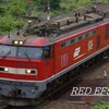 単機で来ちゃったゴトーさんを狙う