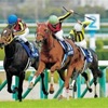 Hot summer horse racing【7/20(土)中央競馬波乱予測】