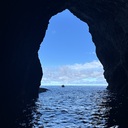 sayurin-teaのブログ