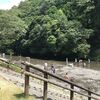 アクティ森で川遊び