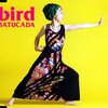 BATUCADA／bird