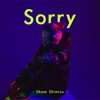 清水翔太 の新曲 Sorry 歌詞