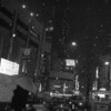 昨夜の東京は、雪だった。