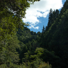 お盆休みは奈良県吉野方面も大渋滞だわ。