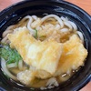 イカ天うどん