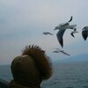 連休を頂きます