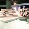 札幌市の都市型水族館「AOAO SAPPORO」｜2024年「推し活」旅 第四弾in札幌②