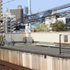 春だぁ〜桜〜さくら〜サクラ〜＆電車in桜ノ宮