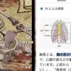 マンデラ効果（；゜０゜）