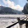また雪かいな